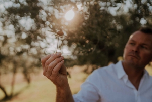 Degustazione di olio d'oliva: un viaggio di sapori e aromi