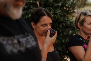 Degustazione di olio d'oliva: un viaggio di sapori e aromi