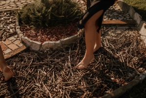 Degustazione di olio d'oliva: un viaggio di sapori e aromi