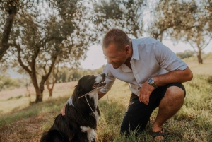 Degustazione di olio d'oliva: un viaggio di sapori e aromi