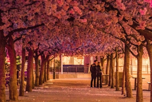 Eco Fietstocht door de oude binnenstad van Stockholm, Djurgarden, Natuur