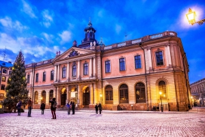 Eco Fietstocht door de oude binnenstad van Stockholm, Djurgarden, Natuur