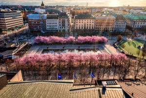 Eco Fietstocht door de oude binnenstad van Stockholm, Djurgarden, Natuur
