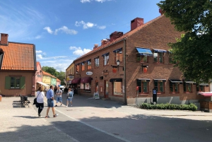 From Stockholm: Guided Day Trip to Sigtuna City