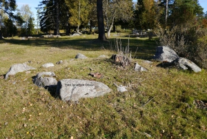 From Stockholm: Viking Culture and Heritage Small Group Tour