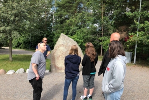 From Stockholm: Viking Culture and Heritage Small Group Tour