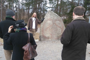 From Stockholm: Viking Culture and Heritage Small Group Tour