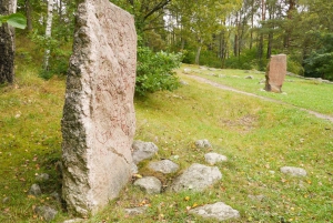 Excursão de 1 dia à história Viking de Estocolmo para Sigtuna + Uppsala