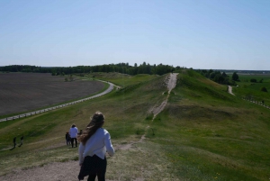 Excursão de 1 dia à história Viking de Estocolmo para Sigtuna + Uppsala
