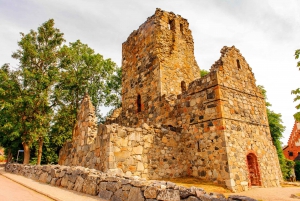 Excursão de 1 dia à história Viking de Estocolmo para Sigtuna + Uppsala