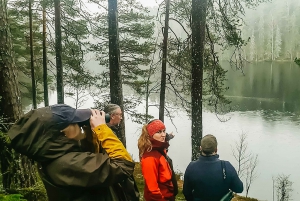 Vanuit Stockholm: Eland & wildsafari met kampvuurdiner