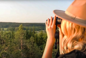 Vanuit Stockholm: Eland & wildsafari met kampvuurdiner