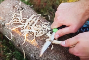 Vanuit Stockholm: Eland & wildsafari met kampvuurdiner