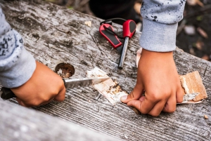 Vanuit Stockholm: Eland & wildsafari met kampvuurdiner
