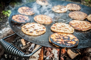 Vanuit Stockholm: Eland & wildsafari met kampvuurdiner