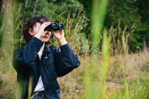 Vanuit Stockholm: Eland & wildsafari met kampvuurdiner