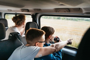 Vanuit Stockholm: Eland & wildsafari met kampvuurdiner