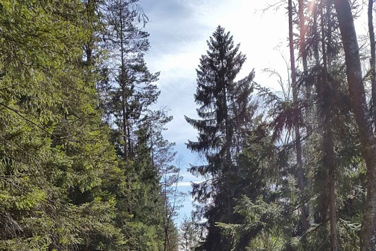 Natuurwandeling vanuit Stockholm