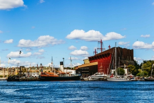 Stockholm: City Archipelago Sightseeing Cruise med guide