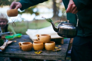 Stockholm : randonnée, cuisine en plein air et flottaison en eau froide