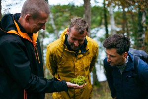 Stockholm : randonnée, cuisine en plein air et flottaison en eau froide
