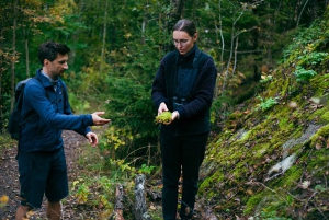 Stockholm : randonnée, cuisine en plein air et flottaison en eau froide