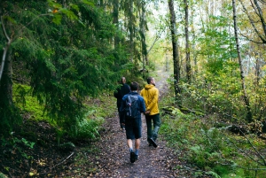 Stockholm : randonnée, cuisine en plein air et flottaison en eau froide