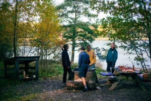 Stockholm : randonnée, cuisine en plein air et flottaison en eau froide