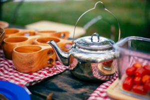 Stockholm : randonnée, cuisine en plein air et flottaison en eau froide