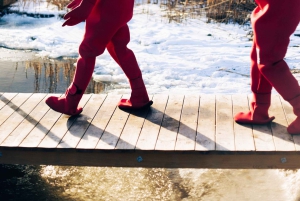 Stockholm : randonnée, cuisine en plein air et flottaison en eau froide