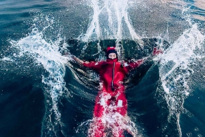 Stockholm : randonnée, cuisine en plein air et flottaison en eau froide