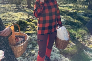 Stoccolma, tour dei funghi e delle piante selvatiche con l'esperto