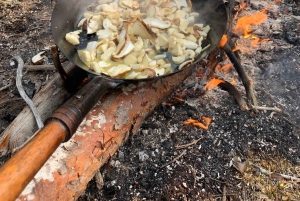 Stoccolma, tour dei funghi e delle piante selvatiche con l'esperto
