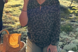 Stoccolma, tour dei funghi e delle piante selvatiche con l'esperto