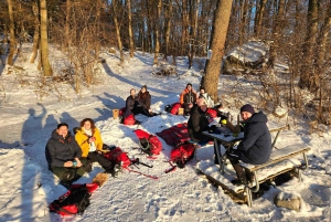 Stockholm: Nordiske skøyter for nybegynnere på en frossen innsjø