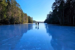 Stockholm: Nordiske skøyter for nybegynnere på en frossen innsjø