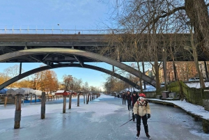 Stockholm: Nordiske skøyter for nybegynnere på en frossen innsjø
