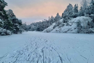Stockholm: Nordiske skøyter for nybegynnere på en frossen innsjø