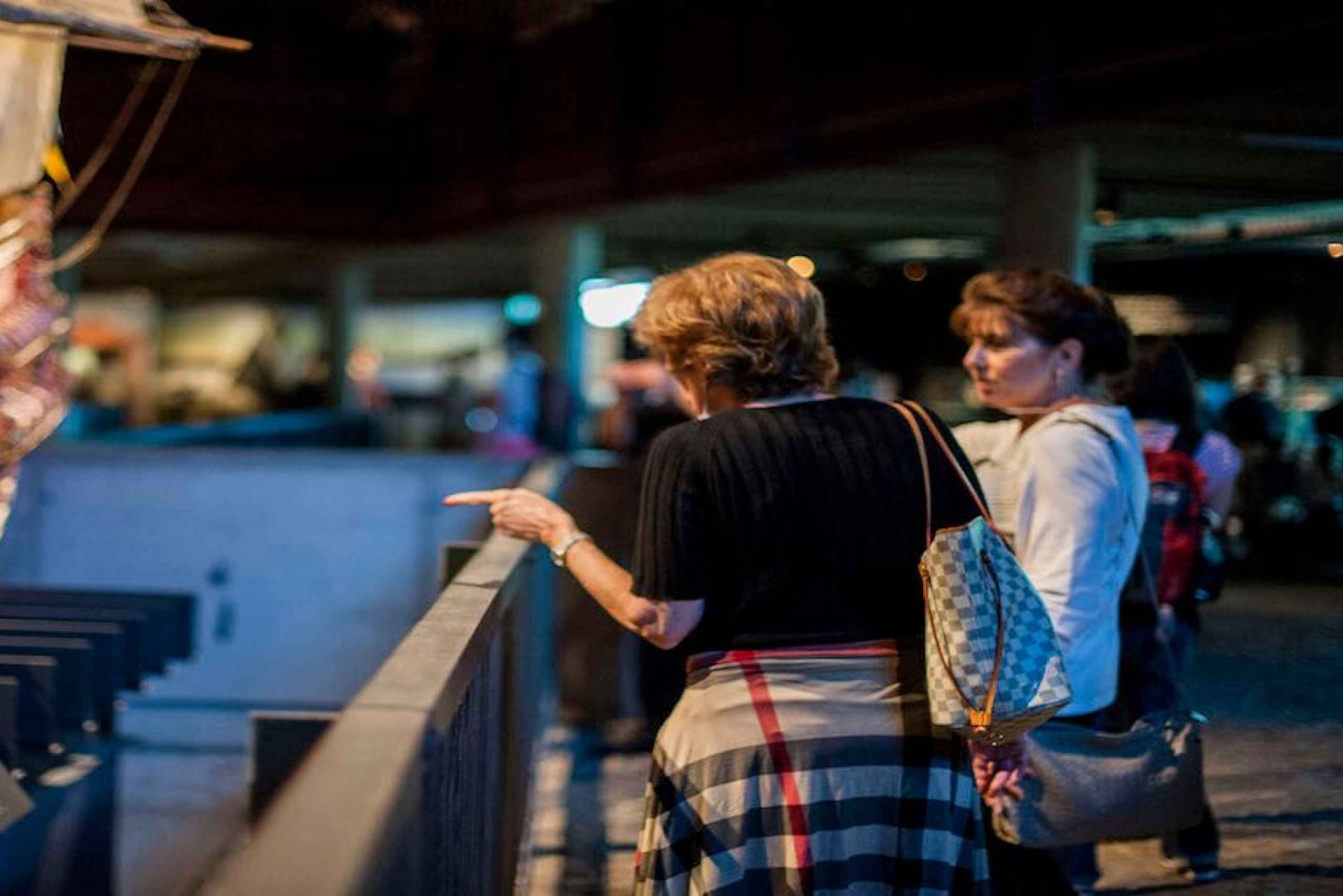 Tukholma: Vanhakaupunki & Vaasa-museo Skip-the-Line Yksityinen kierros.