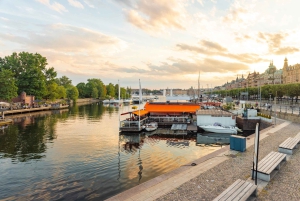Excursion d'une journée à Stockholm : vieille ville, musée Vasa et vue sur la ville