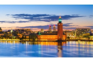 Excursion d'une journée à Stockholm : vieille ville, musée Vasa et vue sur la ville