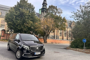 Estocolmo: tour de la ciudad y Sigtuna vikinga en coche privado