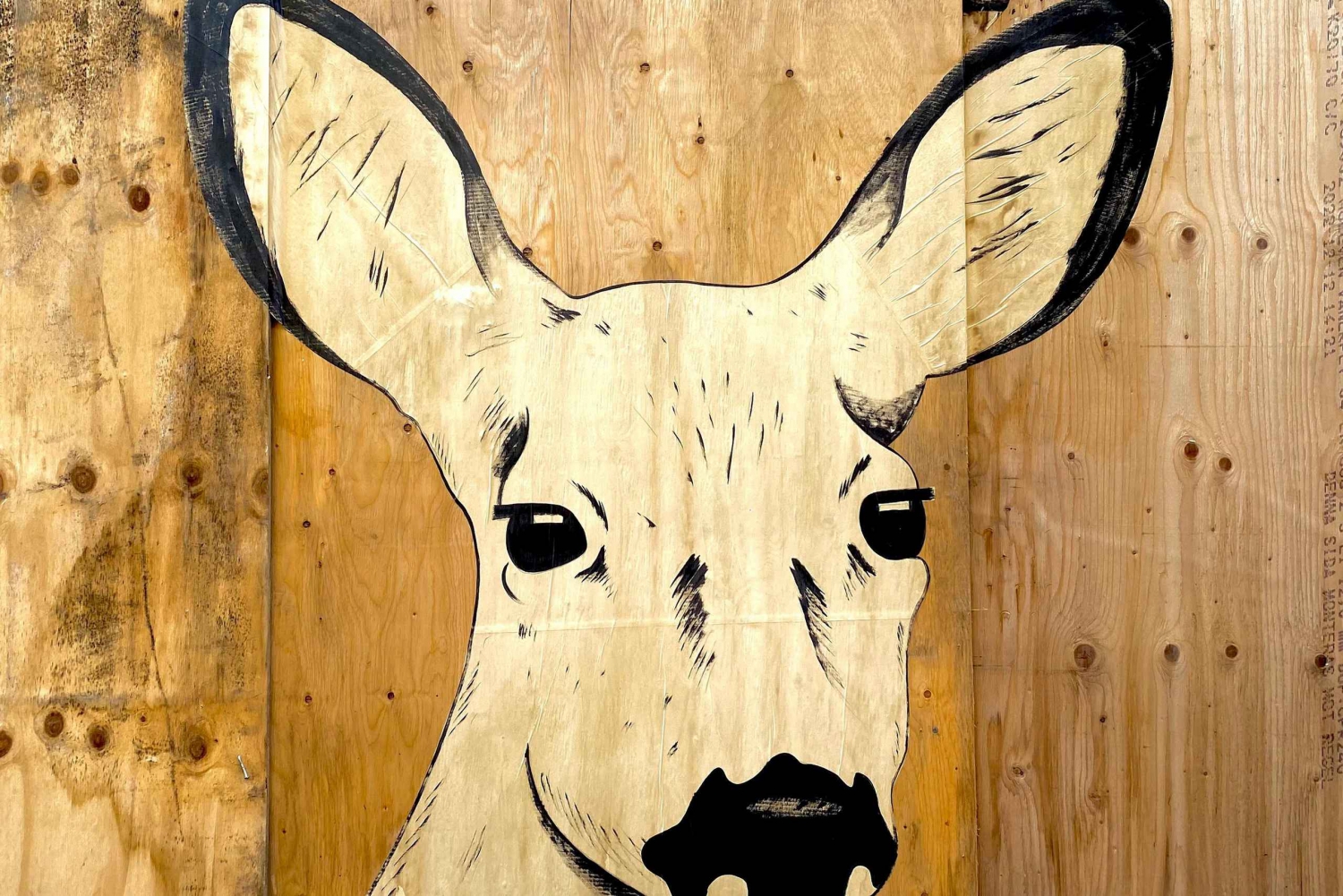 Estocolmo: Tour pela arte de rua de Södermalm e joias escondidas