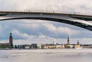 Stockholm: Under the Bridges Boat Tour