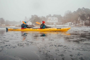 Stockholm: Winter Kayaking, Swedish Fika, and Hot Sauna