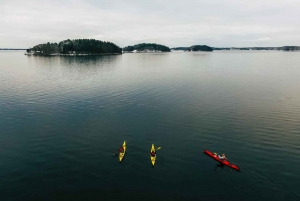 Stockholm: Winter Kayaking, Swedish Fika, and Hot Sauna