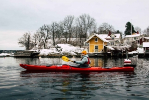 Stockholm: Winter Kayaking, Swedish Fika, and Hot Sauna
