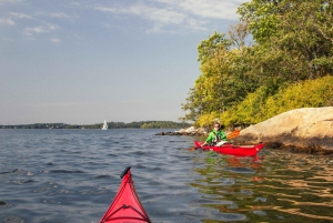 Stockholm: Winter Kayaking, Swedish Fika, and Hot Sauna