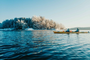 Stockholm: Winter Kayaking, Swedish Fika, and Hot Sauna