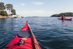 Stockholm: Winter Kayaking, Swedish Fika, and Hot Sauna